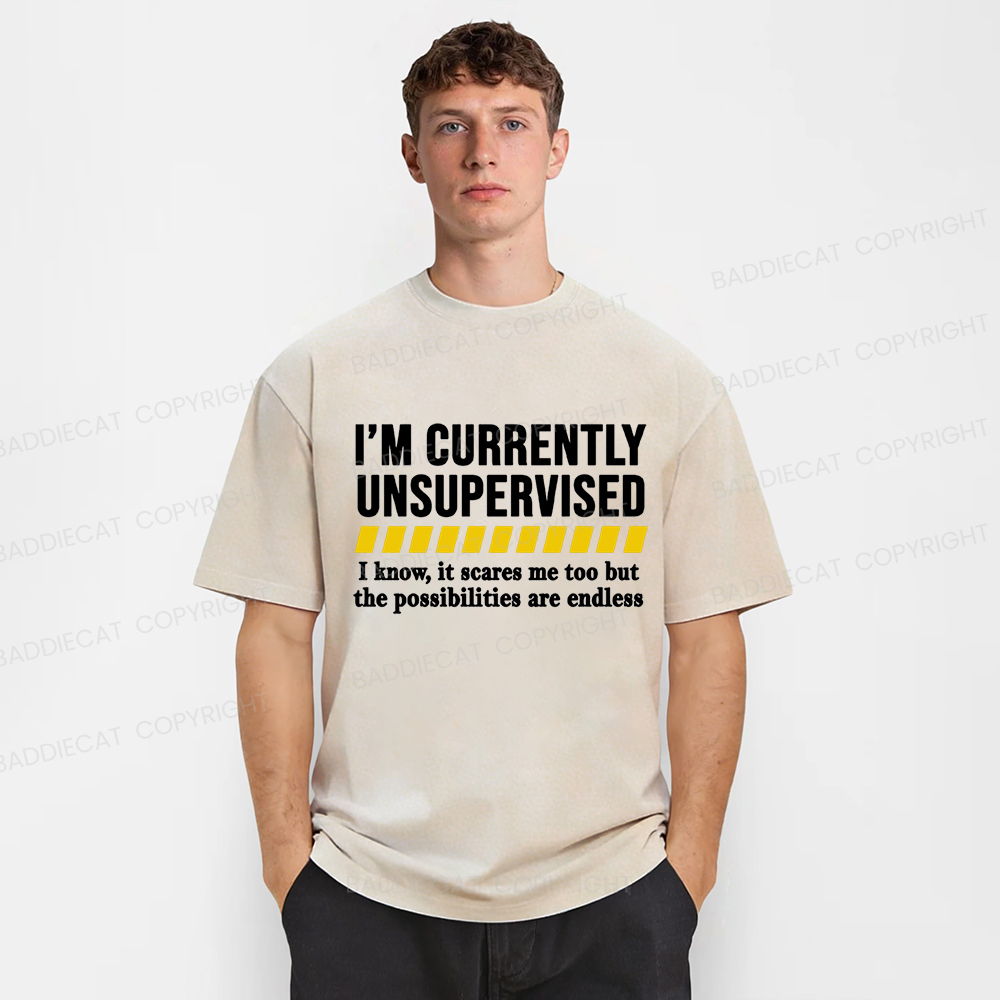 Baddiecat I'm Currently Unsupervised Washed T-shirt