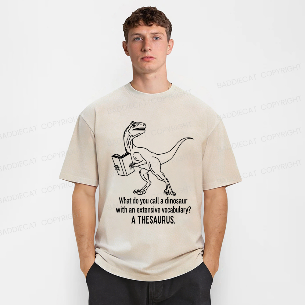 Baddiecat A Thesaurus Washed T-shirt