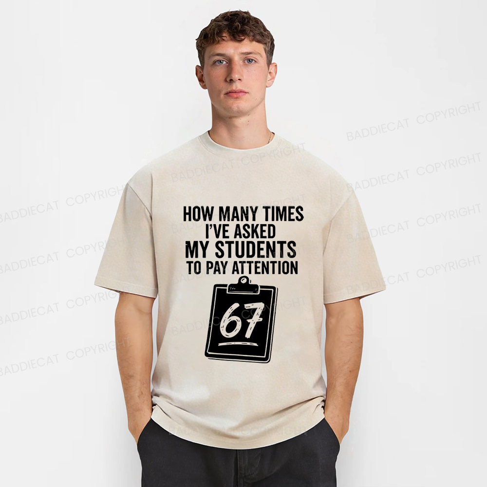 Baddiecat Sixty-Seven Points Teacher Washed T-shirt