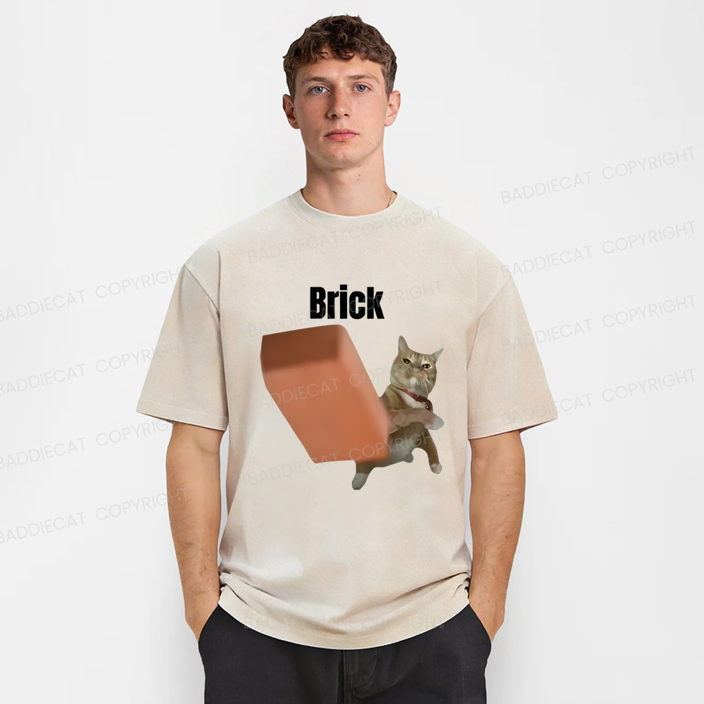 Baddiecat Brick Washed T-shirt