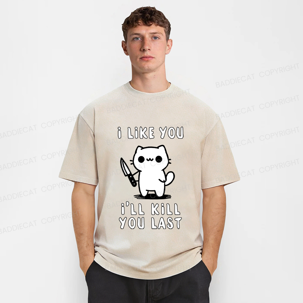 Baddiecat Cat I Like You I'll Kill You Last Washed T-shirt