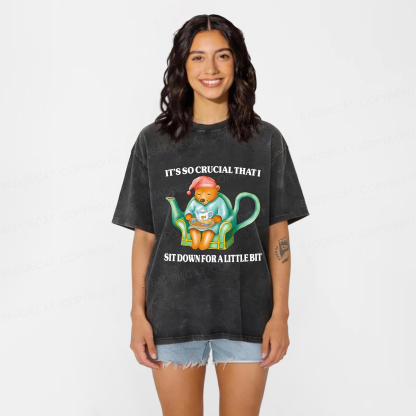 Baddiecat Need To Sit Washed T-shirt