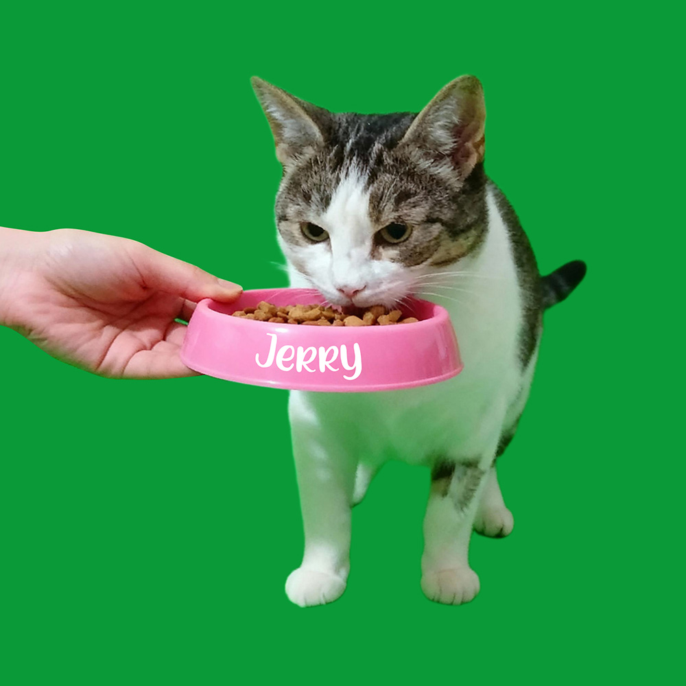 Scènes D'alimentation (40s/60s Incluses)