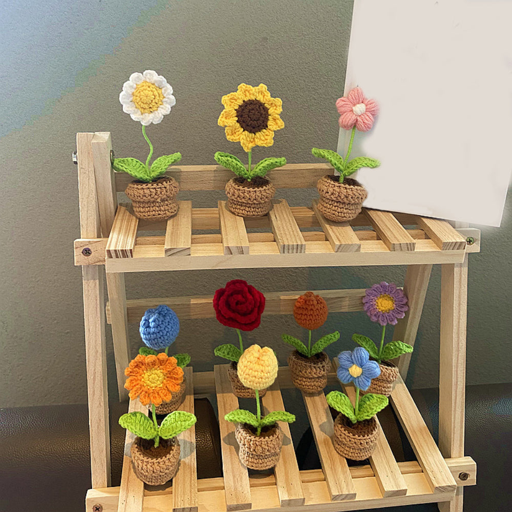 Fleurs Au Crochet Faites À La Main Terminées Tissées À La Main Tricotées Plantes En Pot Cadeau Pour Les Amoureux De L'artisanat