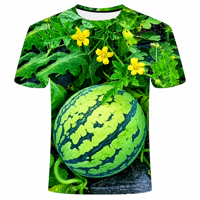 Funny Men's Watermelon Graphic T-Shirt Fruit Print Summer Tee