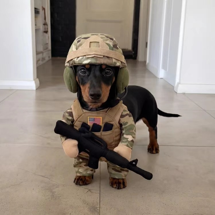Doggy Soldier Outfit Cat Soldier Outfit Funny Outfit For Your Pet