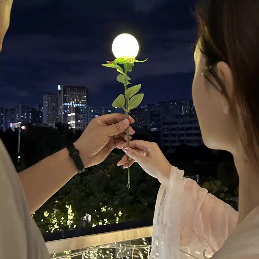 Pick The Moon for Her Creative Butterfly Moon Lamp Flower Romantic Moon Flower Valentine's Day Gifts for Couples - Giftlab