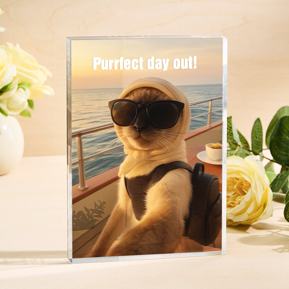 Gifts for Pet Lovers Custom Pet Selfie Funny Cat Photo Acrylic Plaque Frame