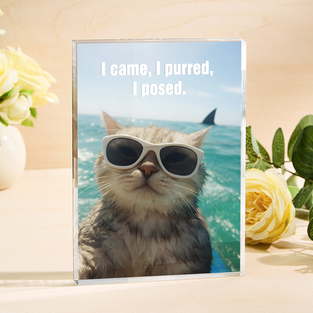 Gifts for Cat Owner Custom Pet Selfie Funny Cat Photo Acrylic Plaque Frame