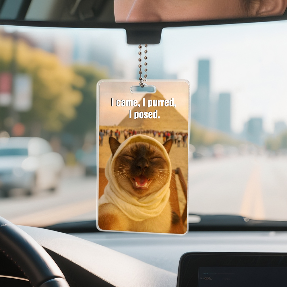 Custom Cat Selfie Funny Photo Acrylic Car Hanger Rearview Mirror Ornament