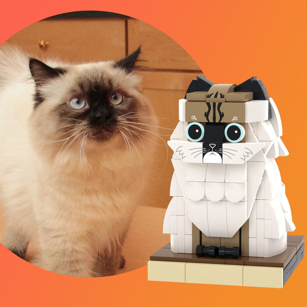 Custom Pet Brick Figure Fully Body Customizable 1 Cat Photo Brick Figures Customized Cat Only - Giftlab