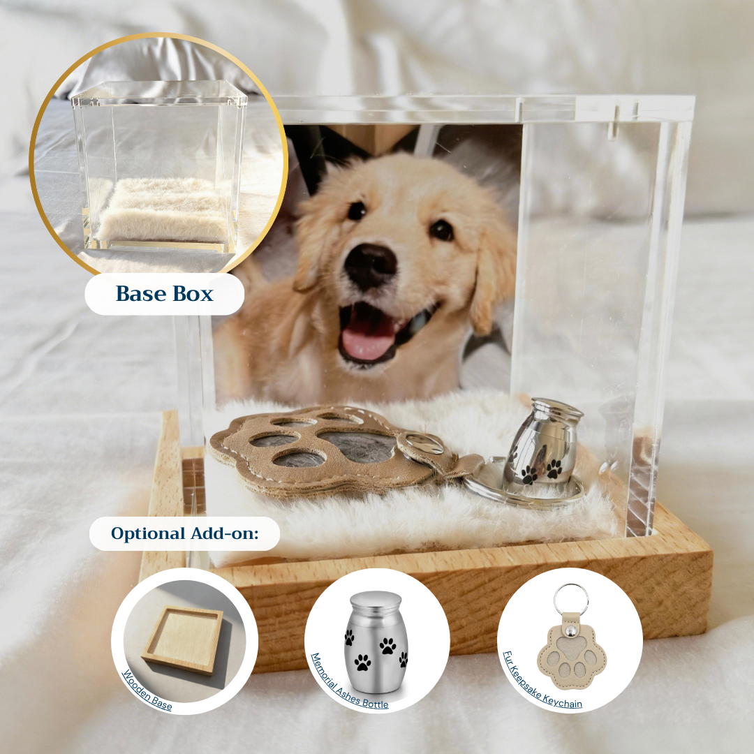 Interactive Pet Memorial Box With Hologram Projection - GiftlabUS