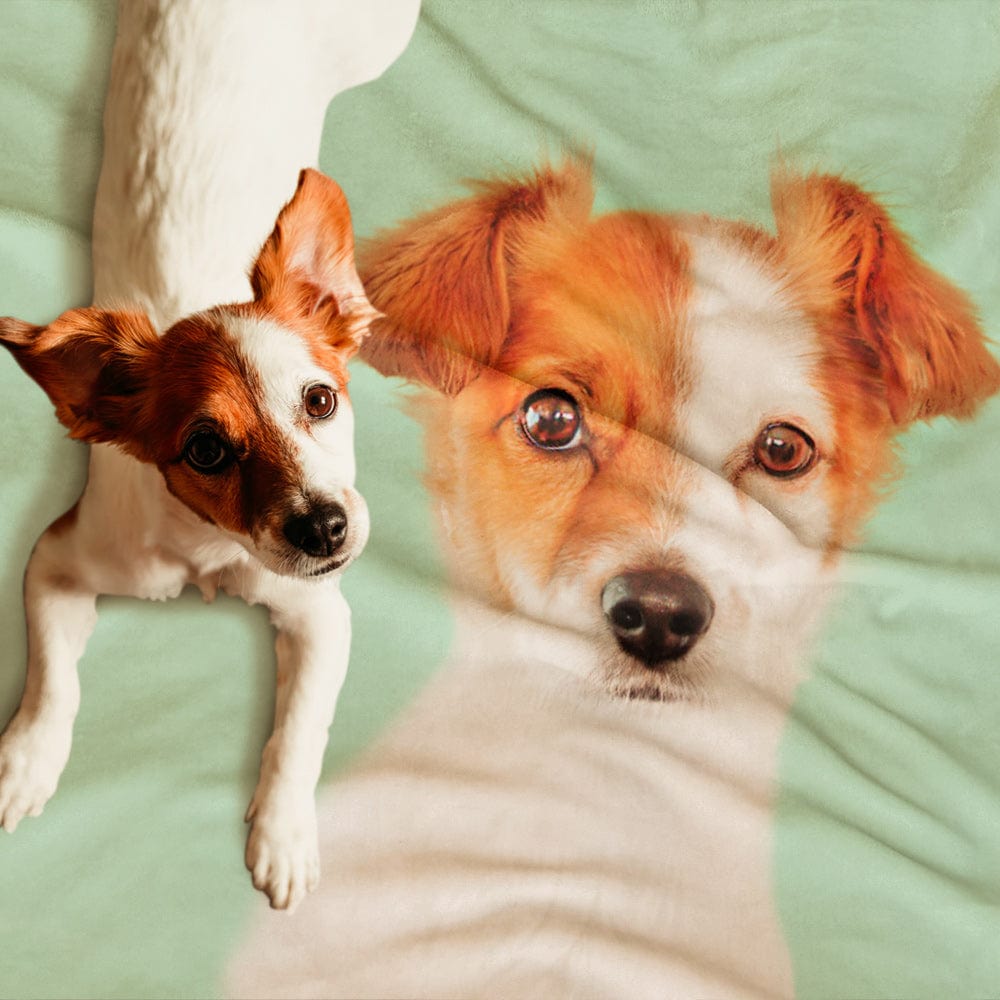 Custom Photo Blanket Personalized Pet Portrait Blanket - Giftlab