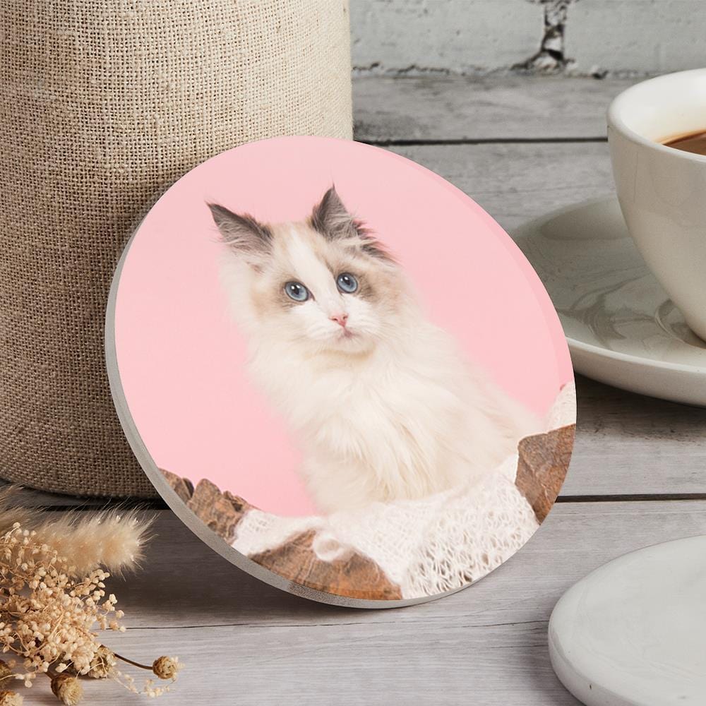 Cat Photo Coaster Gift For Pet Lovers - Giftlab