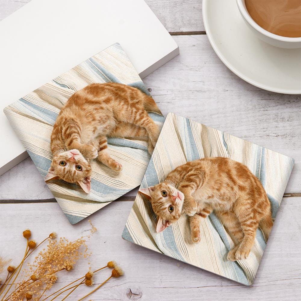 Cat Memorial Gift Photo Coaster for Cat Lover - Giftlab