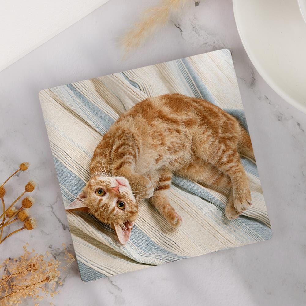 Cat Memorial Gift Photo Coaster for Cat Lover - Giftlab