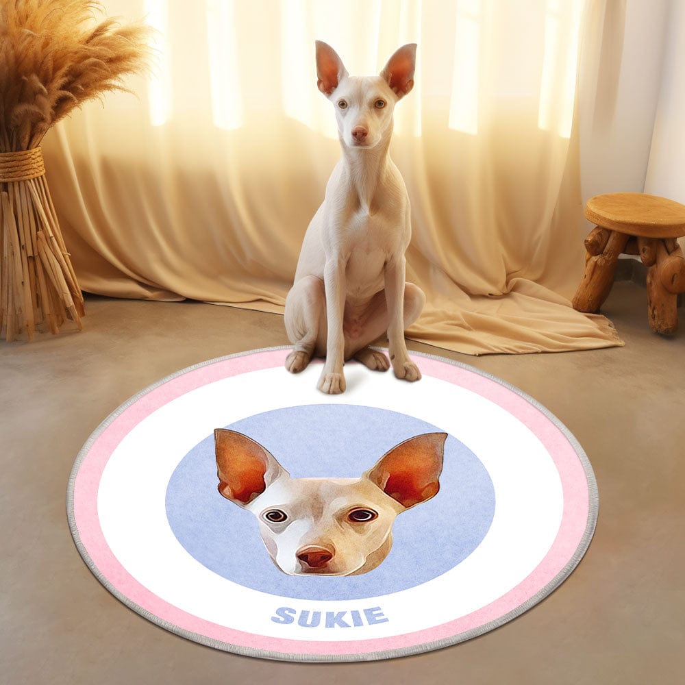 Custom Pet Photo Doormat Personalized Floor Mat Gift for Pet Lover - Pink & Blue - Giftlab