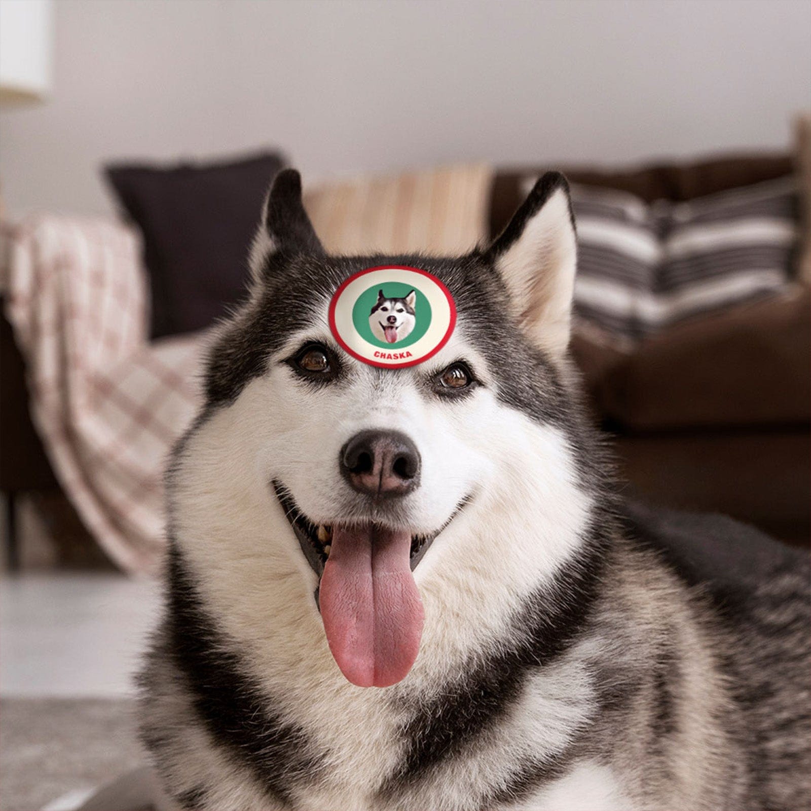 Custom Pet Face Sticker Personalized Face Photo Stickers for Pet Lover - Red & Green - Giftlab