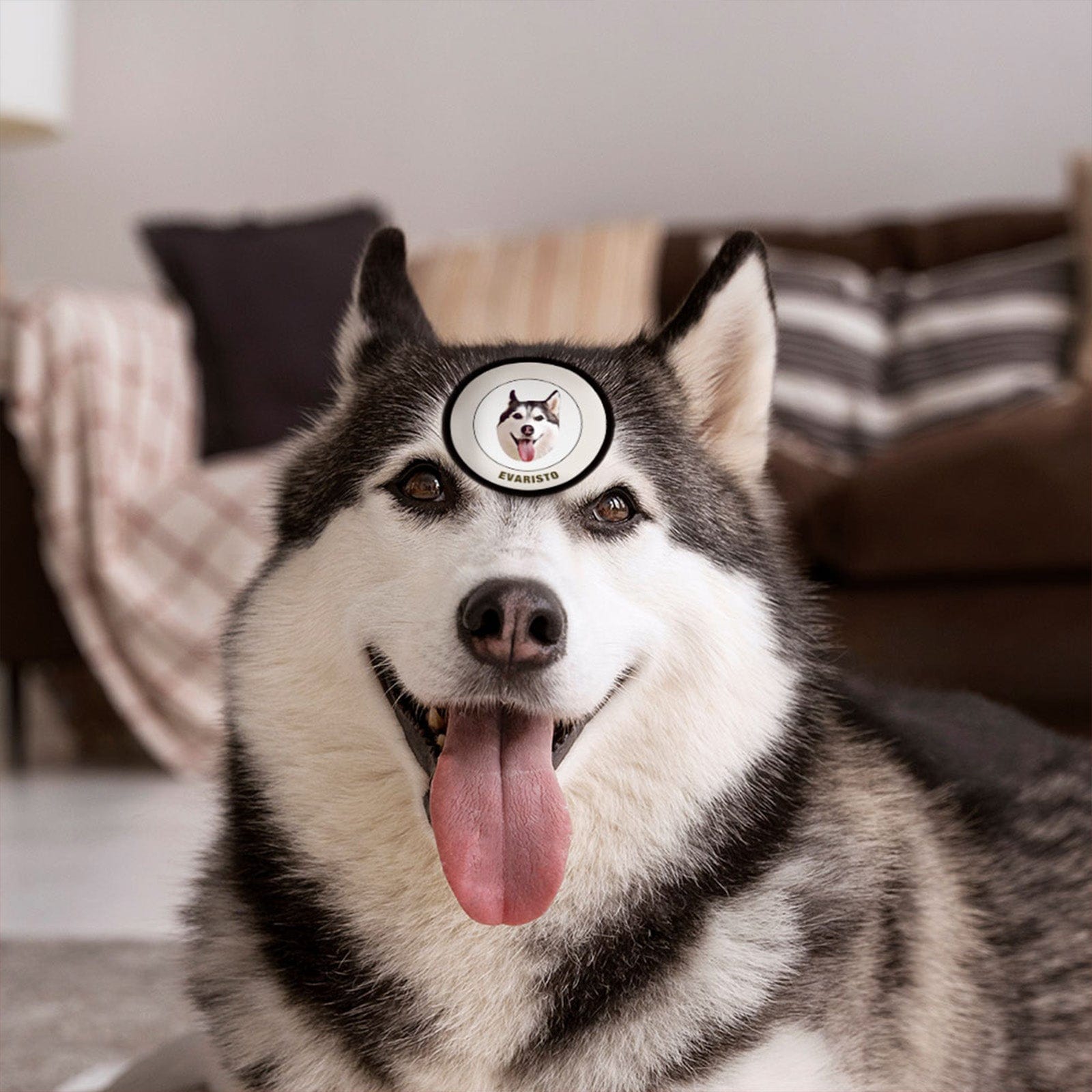 Custom Pet Face Sticker Personalized Face Photo Stickers for Pet Lover - Black & White - Giftlab