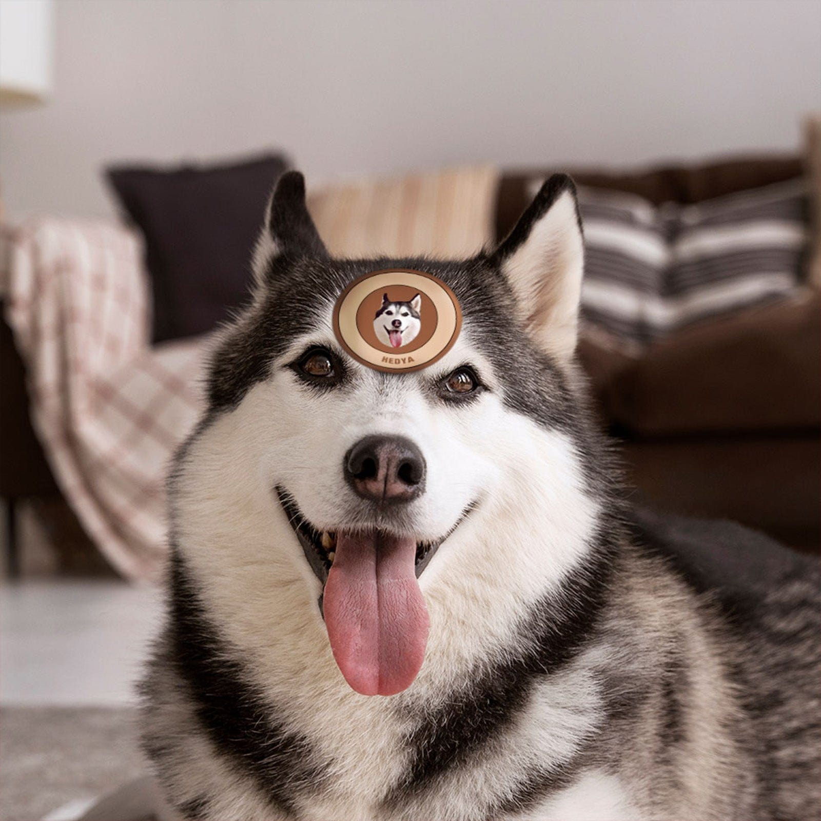 Custom Pet Face Sticker Personalized Face Photo Stickers for Pet Lover - Brown - Giftlab