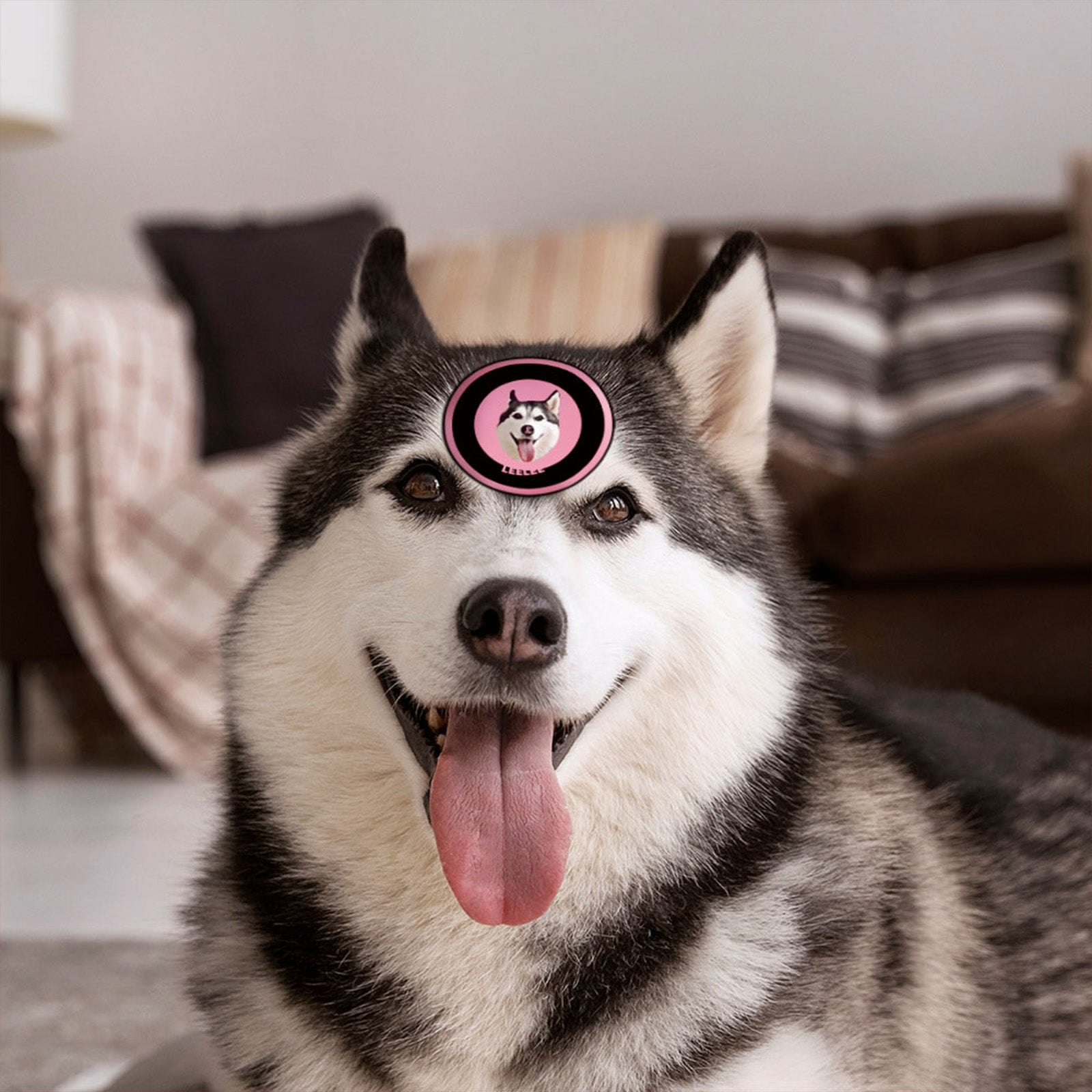 Custom Pet Face Sticker Personalized Face Photo Stickers for Pet Lover - Black & Pink - Giftlab