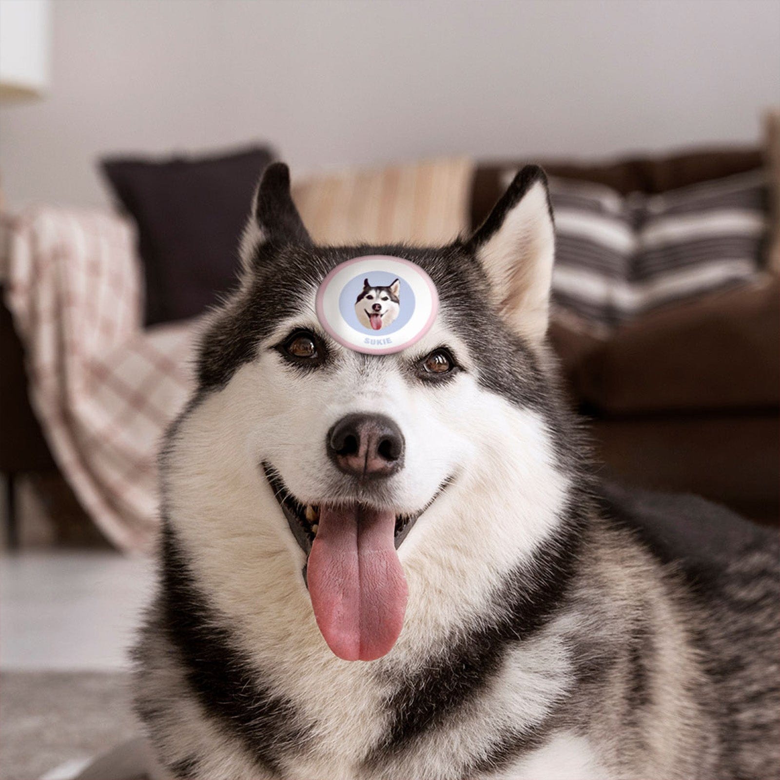 Custom Pet Face Sticker Personalized Face Photo Stickers for Pet Lover - Pink & Blue - Giftlab