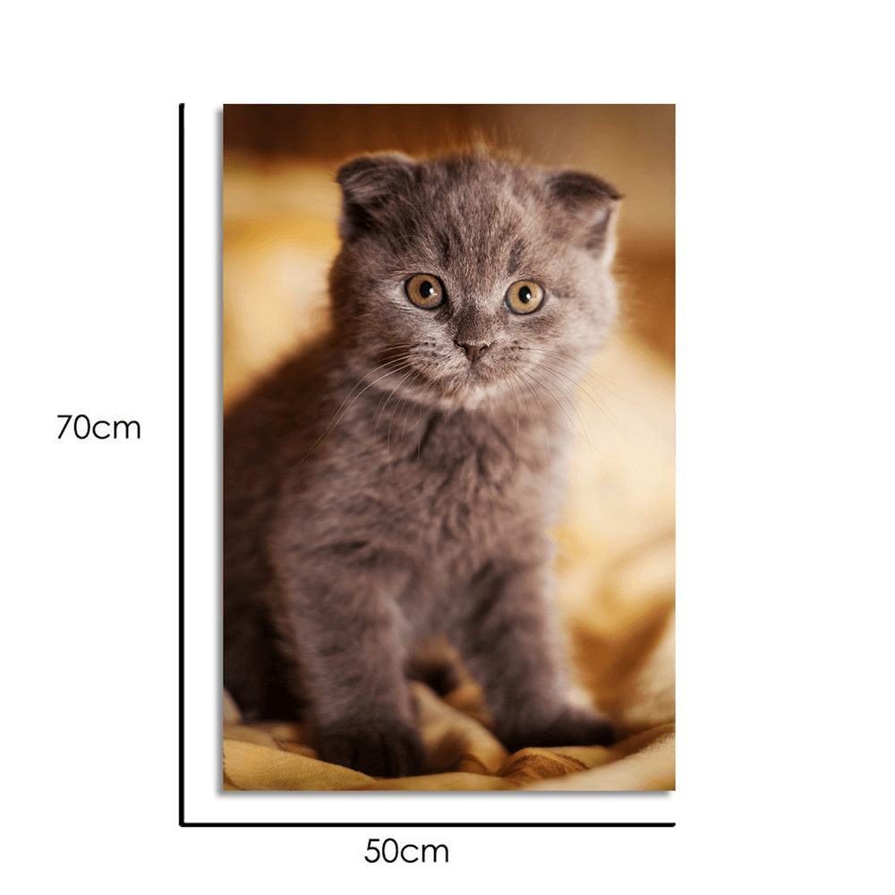 Cat Memorial Gift Custom Photo Canvas Wall Art Decor - 50*70cm - Giftlab