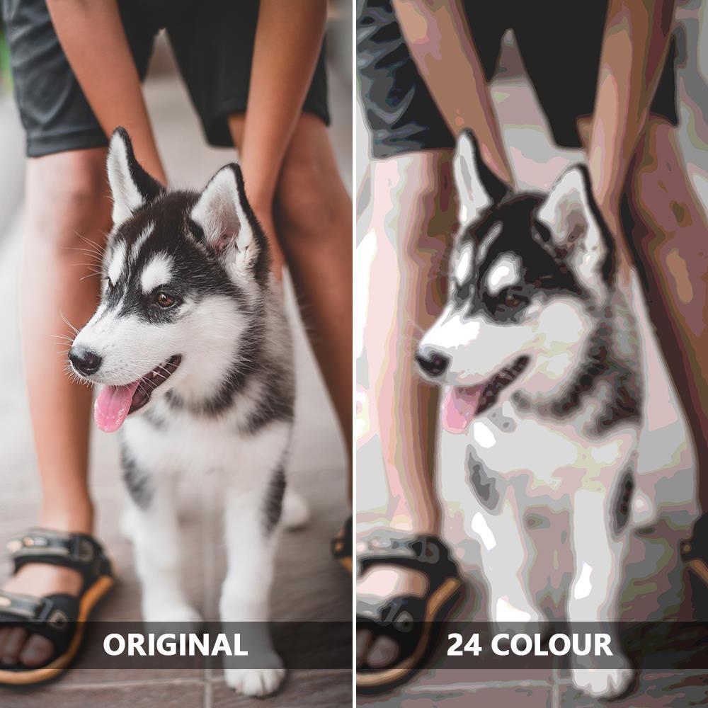 Custom Paint by Number Kits Dog Memorial Gifts - 24/36 Colors - Giftlab