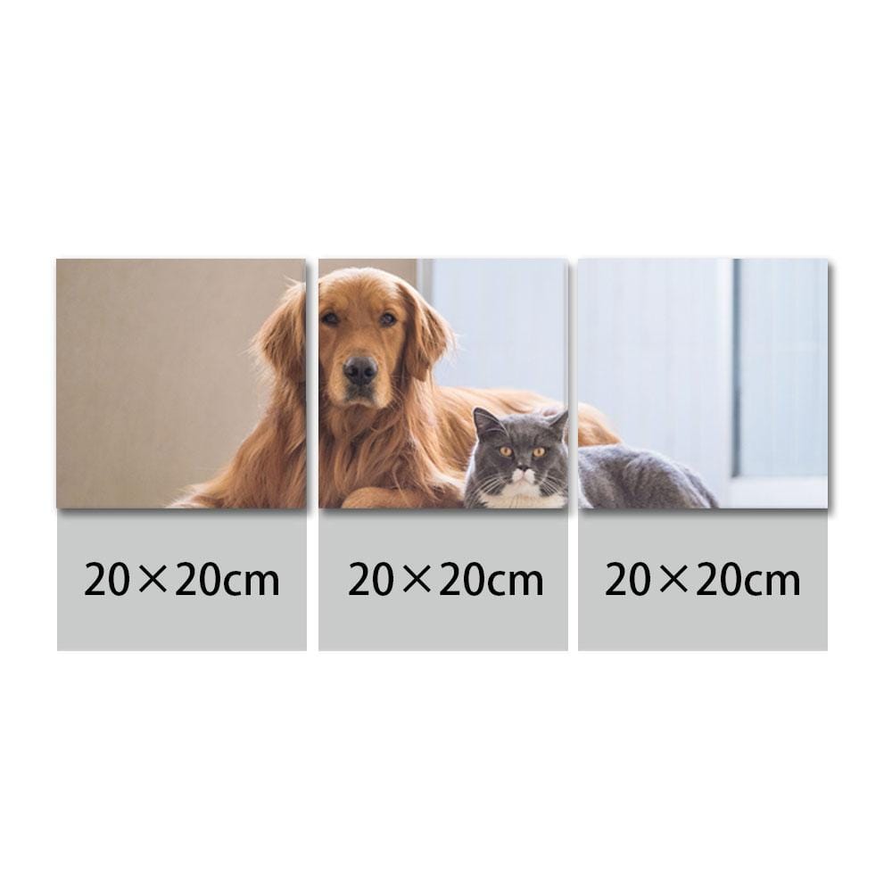 Dog Memorial Gift Photo Canvas Wall Art Gift For Dog Lover - 3pcs - Giftlab