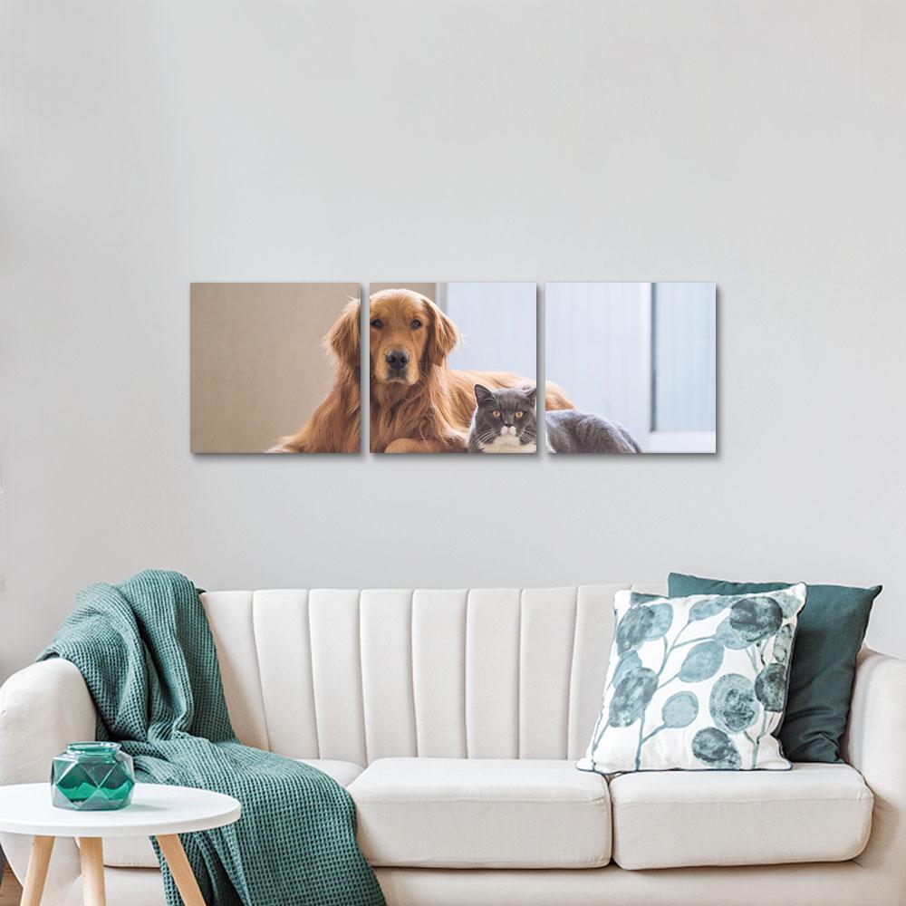 Dog Memorial Gift Photo Canvas Wall Art Gift For Dog Lover - 3pcs - Giftlab