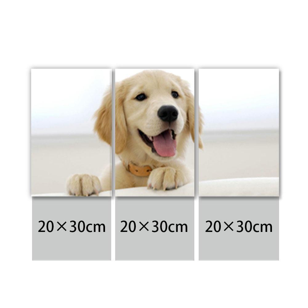 Dog Memorial Gift Custom Photo Canvas Wall Art Decor- 3pcs - Giftlab