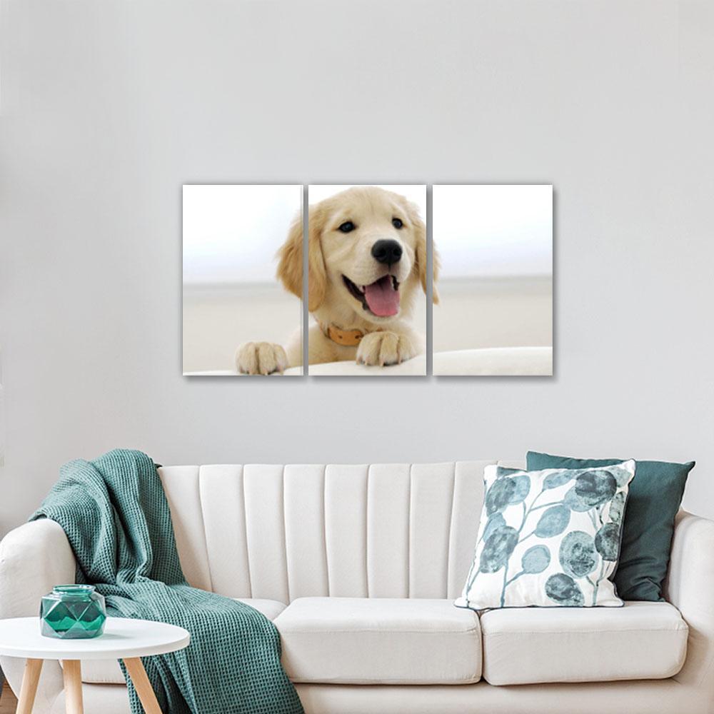 Dog Memorial Gift Custom Photo Canvas Wall Art Decor- 3pcs - Giftlab