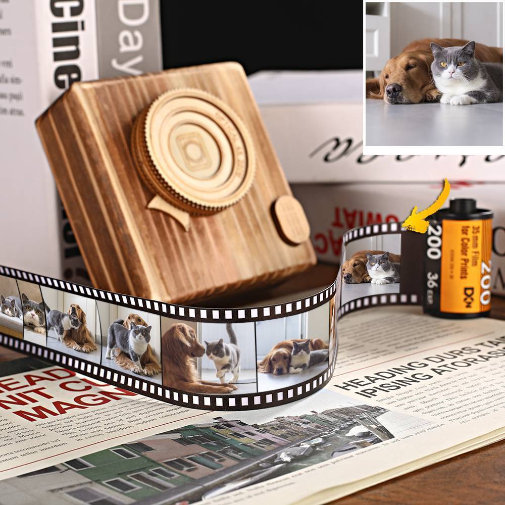 Personalized Pet Multiphoto Colorful Camera Roll Home Decoration - Giftlab