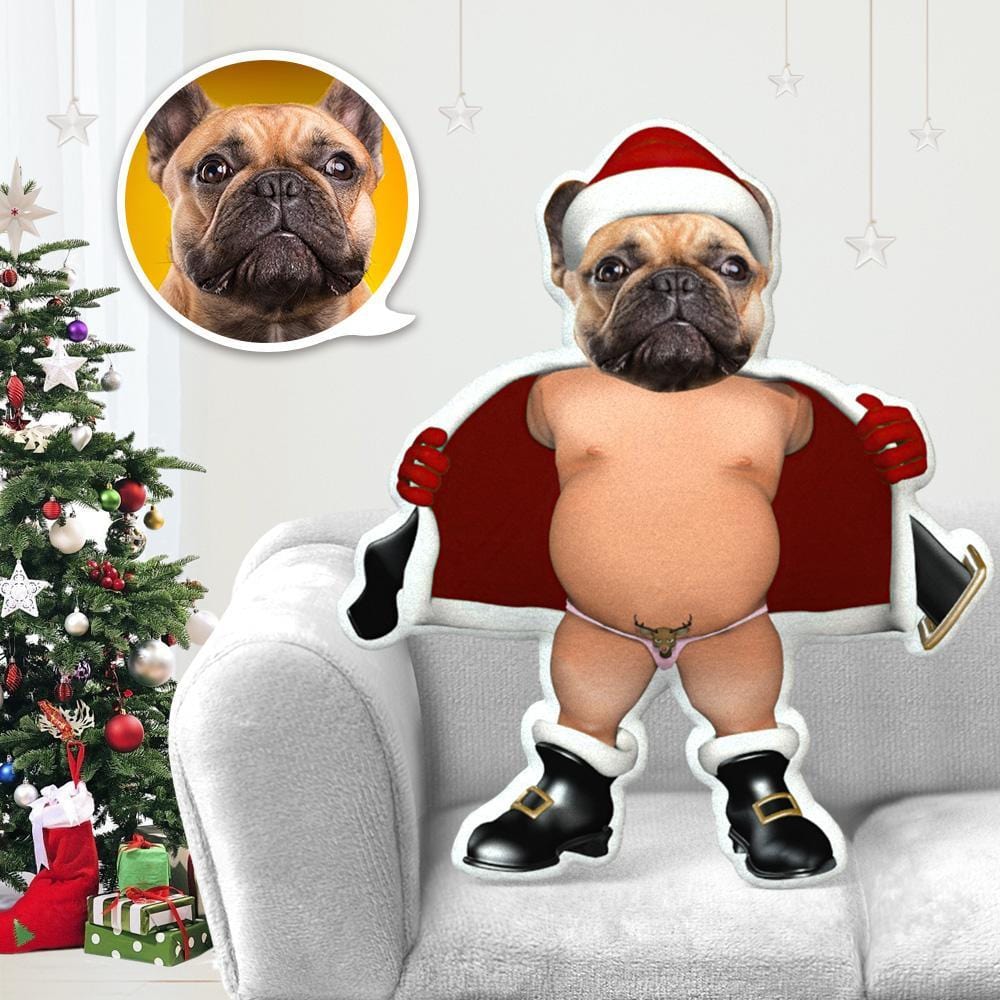 Minime Pillow Pet Photo Pillow Gifts for Dog Lovers Bikini Santa Costume Christmas Gifts - Giftlab