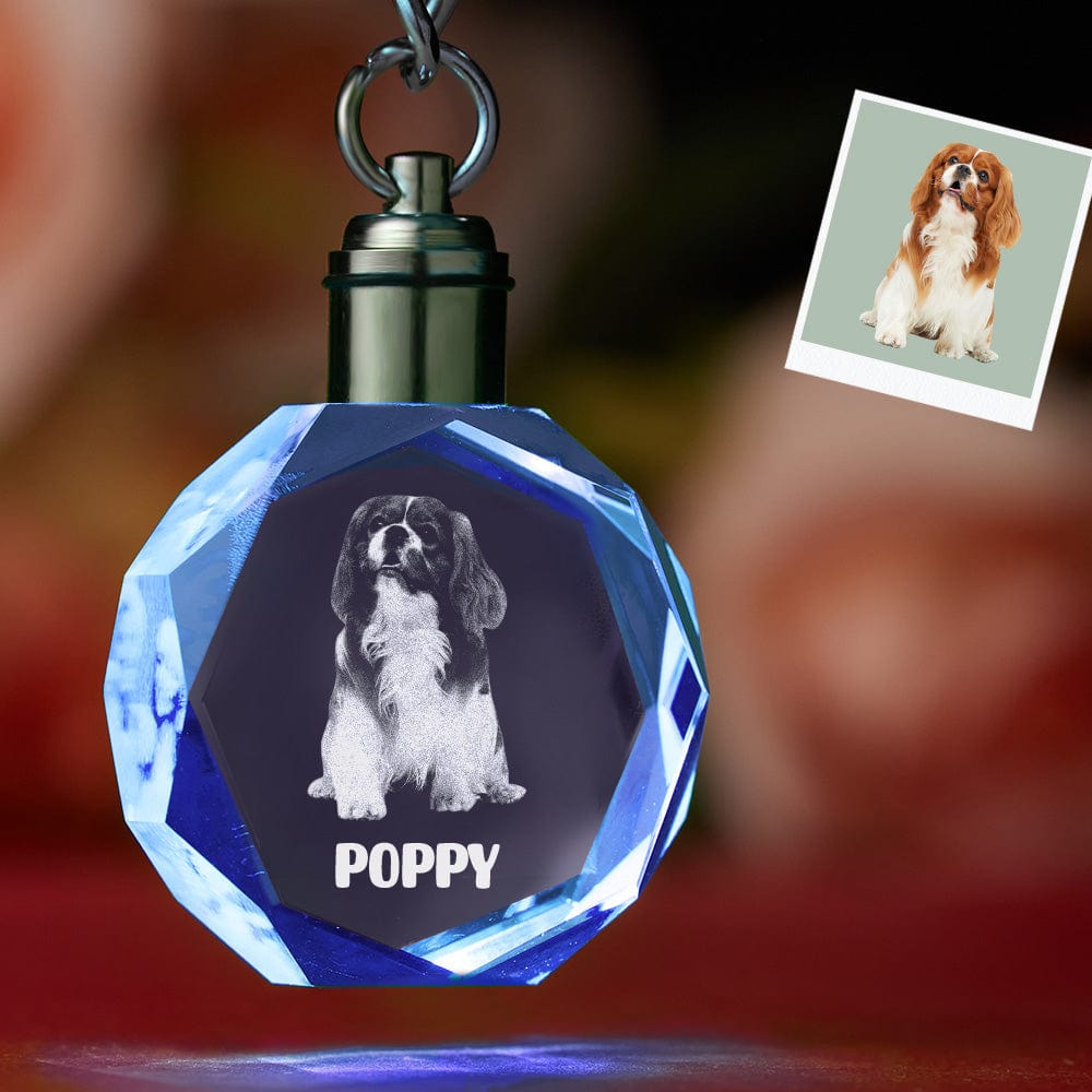 Custom Keychain Crystal Photo Keychain Octagon Shape Personalized Gifts for Pet Lovers - Giftlab