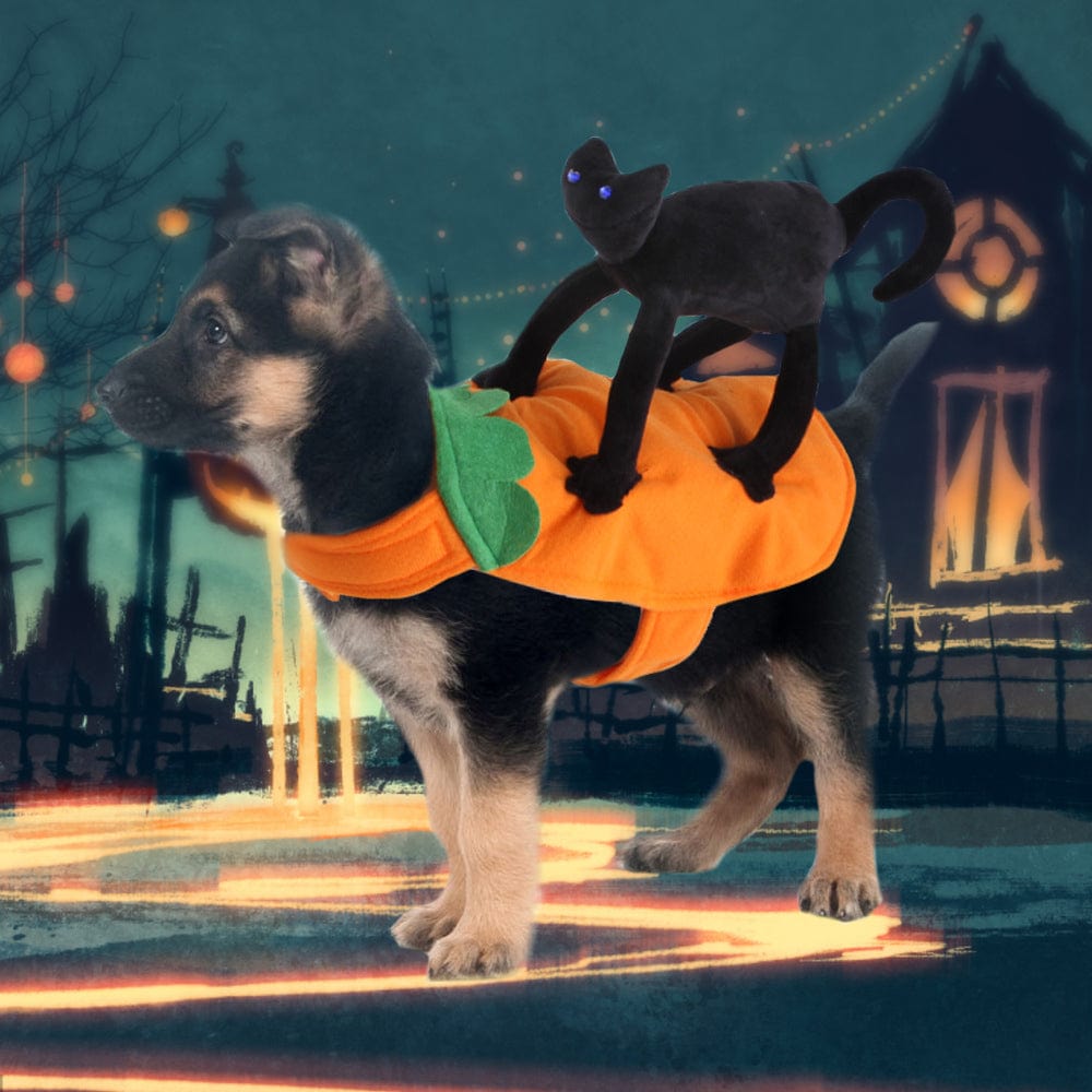 Halloween Pet Cosplay Halloween Costume Carrying Pumpkin Clothes with Cartoon Black Cat Pet Costume - Giftlab
