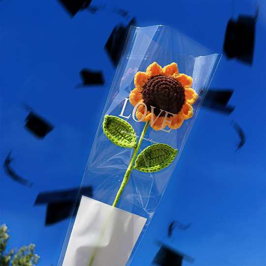 Graduation Gift Handmade Knitted Flower Crochet Flower Gift for Friend