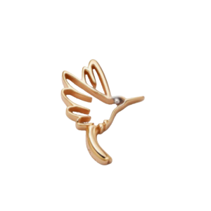 Locket Necklace Accessories Hummingbird