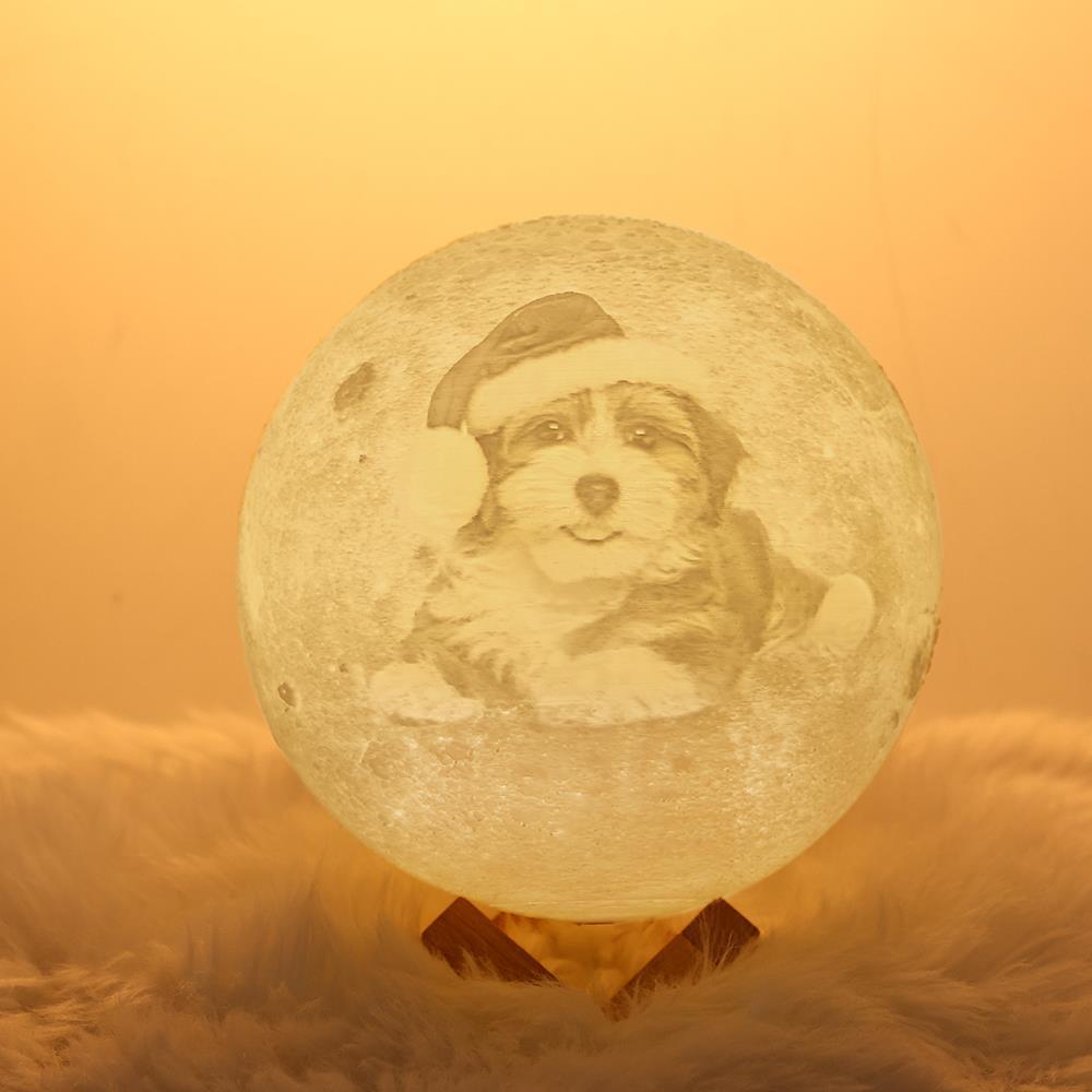 Moon Lamp Christmas Gift For Dog Owner - Touch Two Colors (10-20cm) - Giftlab