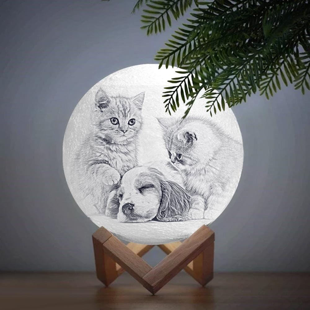 Pet Sympathy Gift Photo Moon Lamp - Tap Three Colors - Giftlab