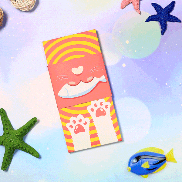 Socks Package for Cat Lovers - Giftlab