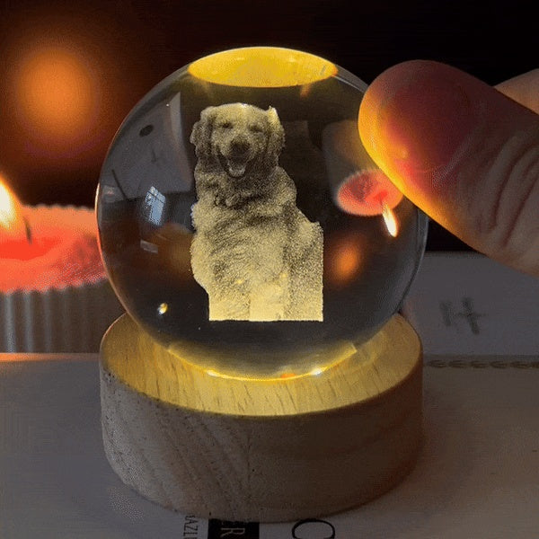 Customized B-Ultrasound Pet Photo 3D Crystal Ball Gift for Pet Lover