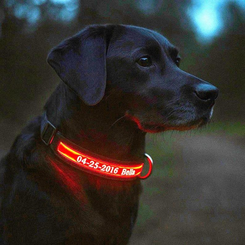 LED Dog Collar with Personalized ID Tag Glowing Light-Up Night Safety Adjustable Pet Collar for Small & Large Dogs Custom Name