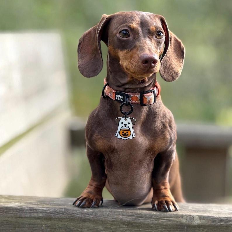 Ghost Dog Tag - 3D Printed Pet Tag, custom, sustainable, customised, gift, keyring, cute, halloween, spooky