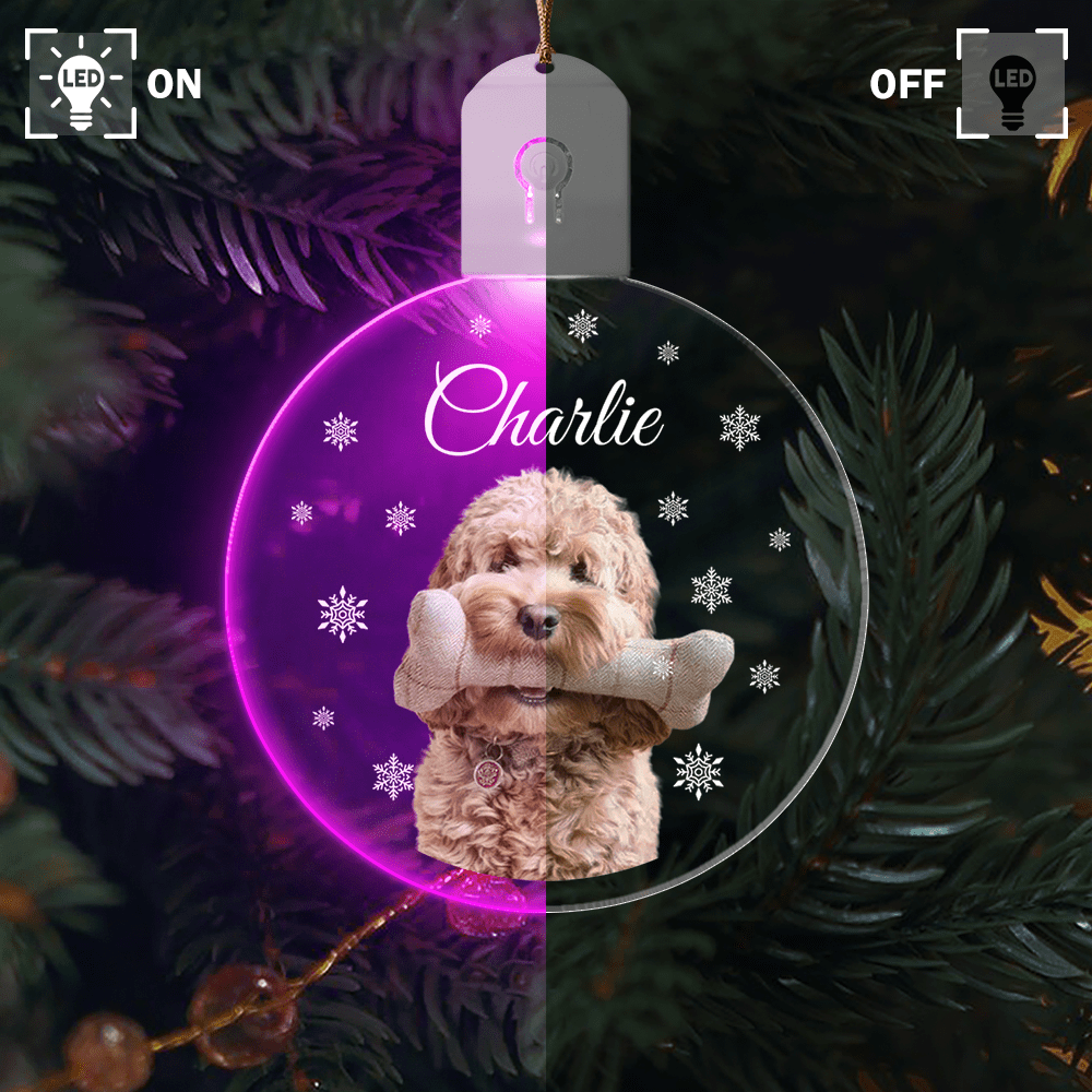 Custom Photo Dog Circle Led Acrylic Ornament Christmas Gift For Dog Lovers
