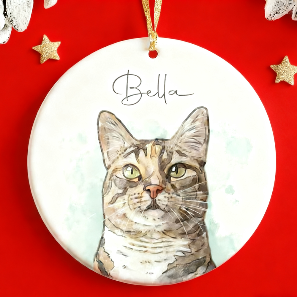 Custom Cat Ornament, Personalized Cat Ornaments, Pet Ornament For Pet Memorial