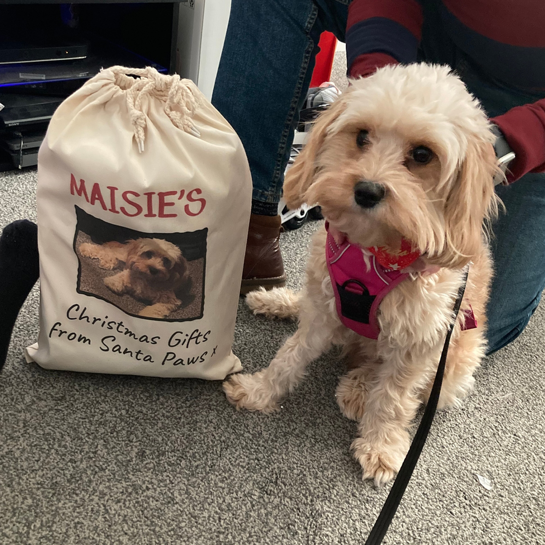Personalised Photo & Name Christmas Gifts From Santa Paws - Christmas Santa Sack