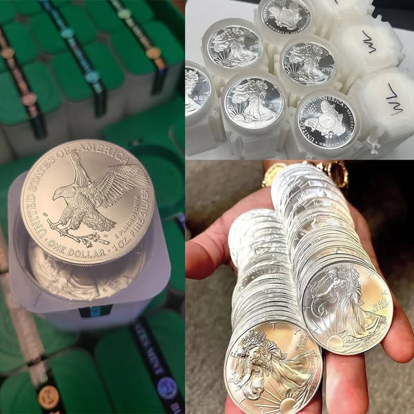 ⏰For a limited time sale🪙1986-2024 American Silver Eagle 39-pc Set NGC MS69