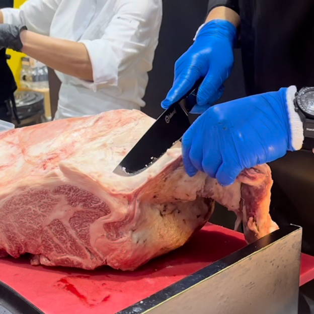 Meteorite Chef Knife