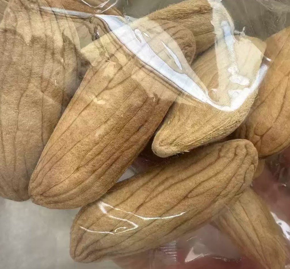 🔥Last Day 49% OFF | Xtra-Sweet Superior Pink Mango Seeds🥭